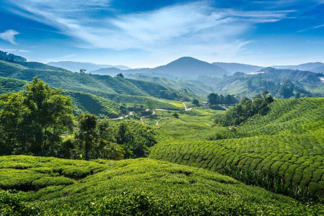 Trip to Malaysia Trip to Malaysia