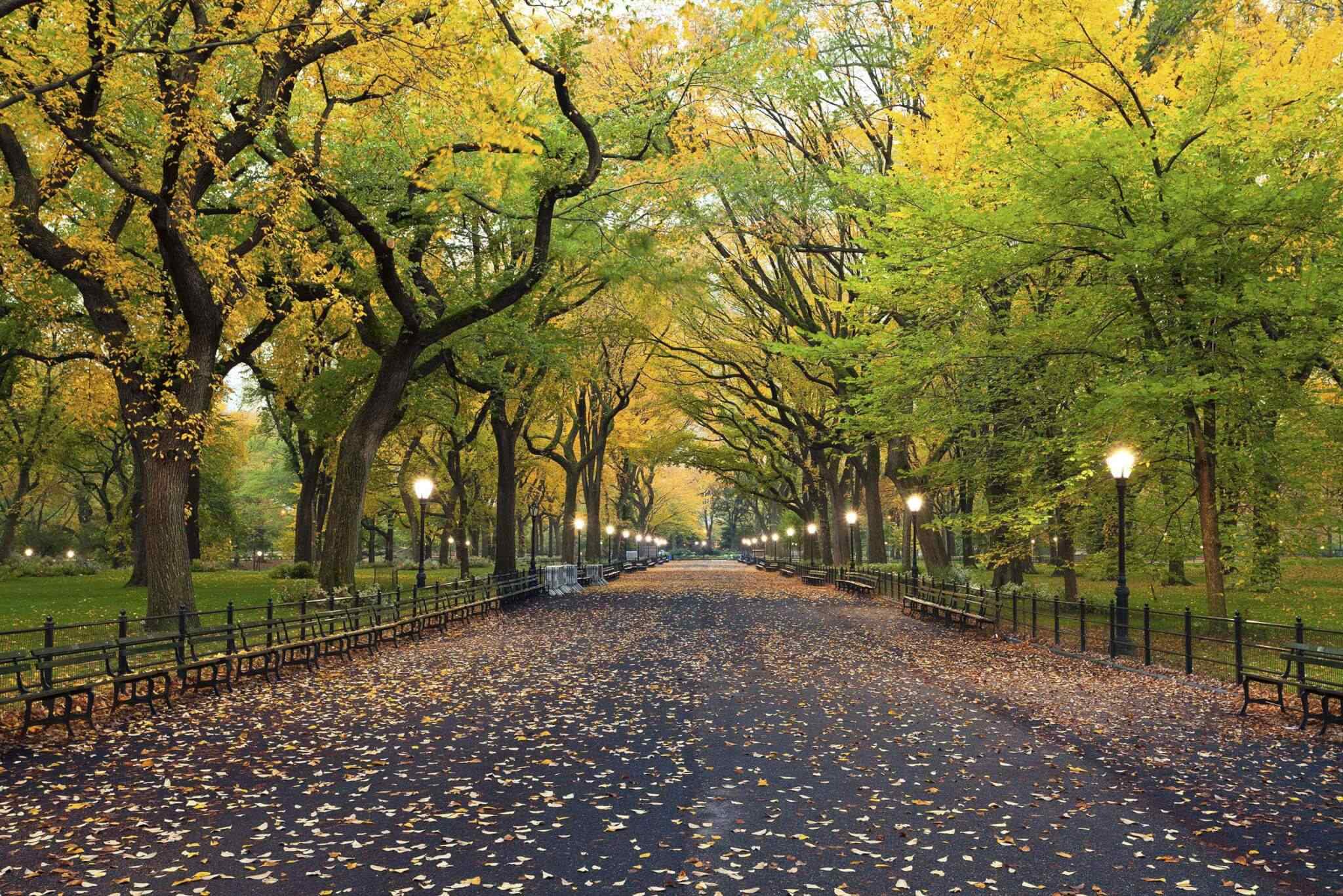 https://www.huntagroup.com/wp-content/uploads/2018/09/destination-new-york-02.jpg